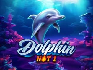 Dolphin Hot 1 game thumbnail